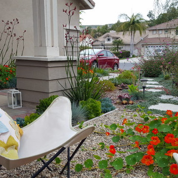 San Clemente Hummingbird Garden