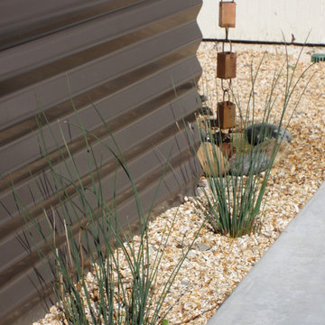 Contemporary Eichler Backyard