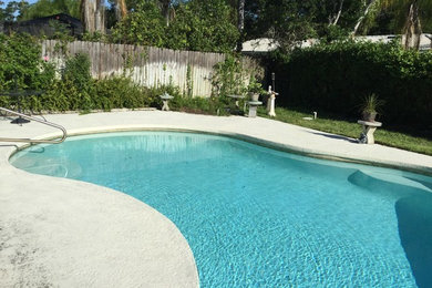 Inspiration for a pool remodel in Tampa