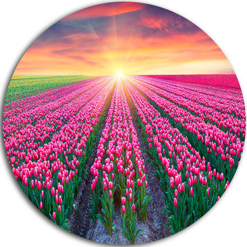 Blooming Tulips At Sunrise, Photo Round Metal Wall Art, 23"