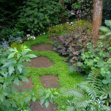 Mercer Island 1