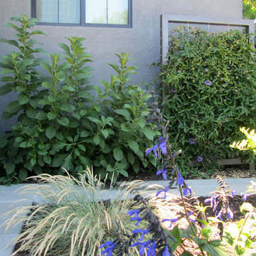 Mountain View, California - Wong Residence