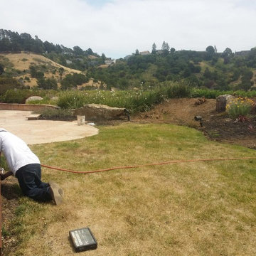Zen Garden