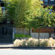 entrances