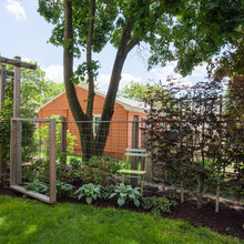 backyard- practical