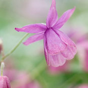 cinnie0 (z 9a / So Cal)'s photo
