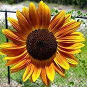Janet Stokes's photo