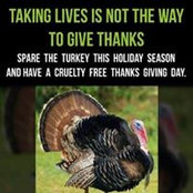 Jan Schwenger's photo
