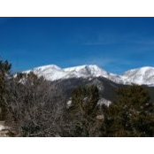 Angela Madden Routt's photo