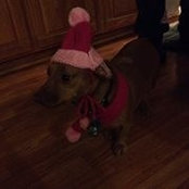 Molly Webb's photo