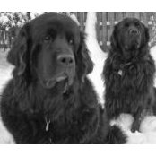 Anne-Marie Gagné's photo