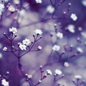 Celin Josephs foto