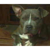 Mike Klimecki's photo