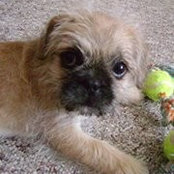 Dianna MacArthur's photo