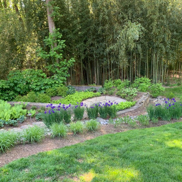 VA Garden with severe water issues