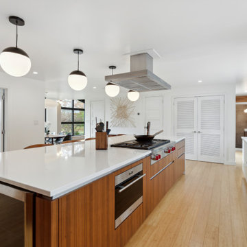Full Home Renovation - Blue Bell, PA