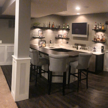Basement Remodel
