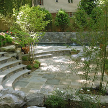 Eucalyptus Patio 2025
