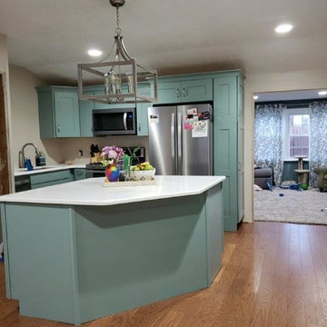 Depew- Custom Color Kitchen