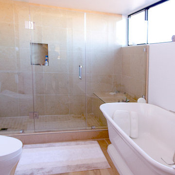 Venice Beach Renovation