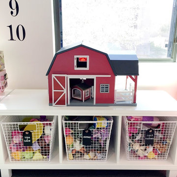 Playroom / Toy Organizing