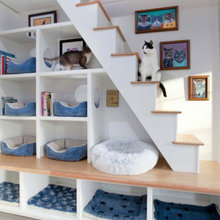 Built In Cat Furniture