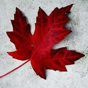 Monika Melanson's photo