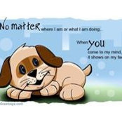 Mary Murphy's photo