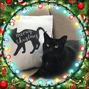Amy Sepelis's photo