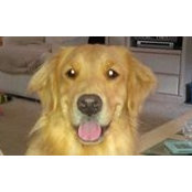 Jazzy Libbes foto