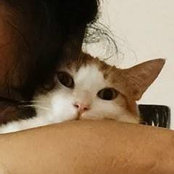 Foto von Allison Chen