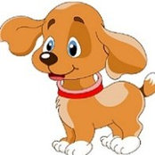Foto di Chewy Dog