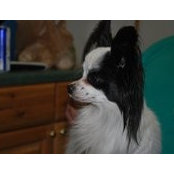 Kathy Patterson's photo