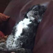 Stephanie Grimm's photo