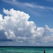 Mallory Beauchamp's photo
