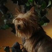 Mary Donovan's photo