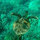 john_williams930