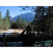 Tina Quenzel's photo