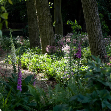 Woodland walk