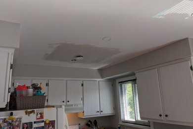 Plastering and Ceiling Repaint,