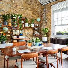 Indoor Garden