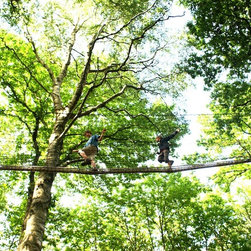 Tree Canopy Walkways for stunning woodland 'sky walking' and 'tree surfing' - Garden Playhouses