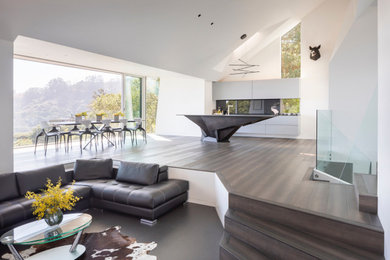 Inspiration for a modern living room remodel in San Francisco