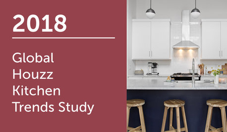 2018 Global Houzz Kitchen Trends Study