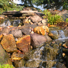 Back yard lanscape