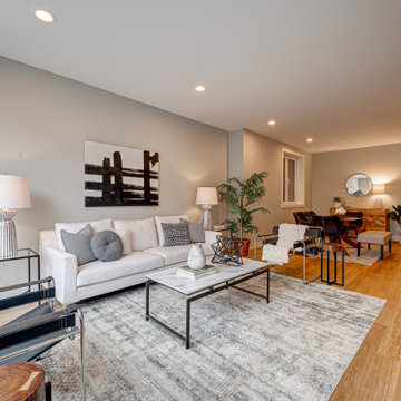 2448 W Diversey - New Construction Development