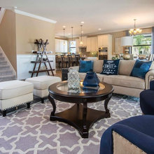 Living Room Ideas