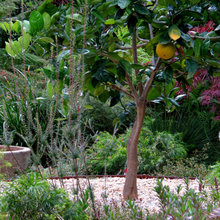 9 Ovens Landscape