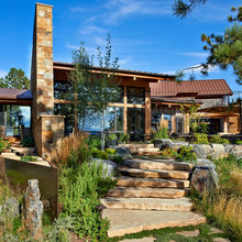 Landscape Ideas