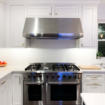 Proline PLJW 109 Series Stainless Steel Wall/Under Cabinet Range Hood